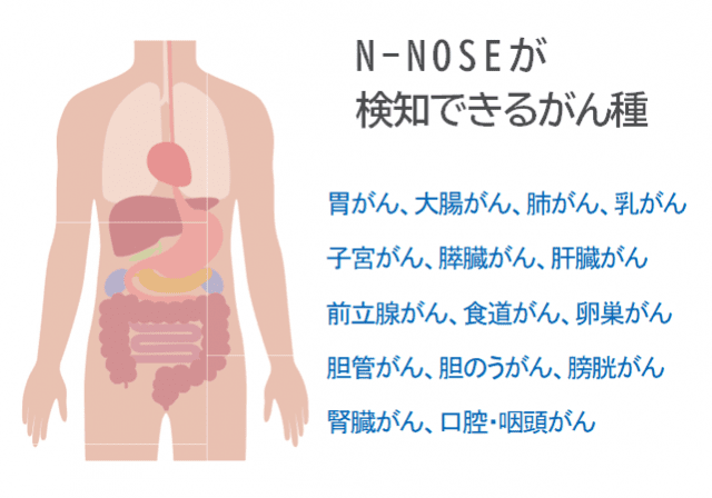 N-NOSE 検知できるがん種 胃がん 大腸がん 肺がん 乳がん 子宮がん すい臓がん 肝臓がん 前立腺がん 食道がん 卵巣がん 胆管がん 胆のうがん 膀胱がん 腎臓がん 口腔がん 咽頭がん